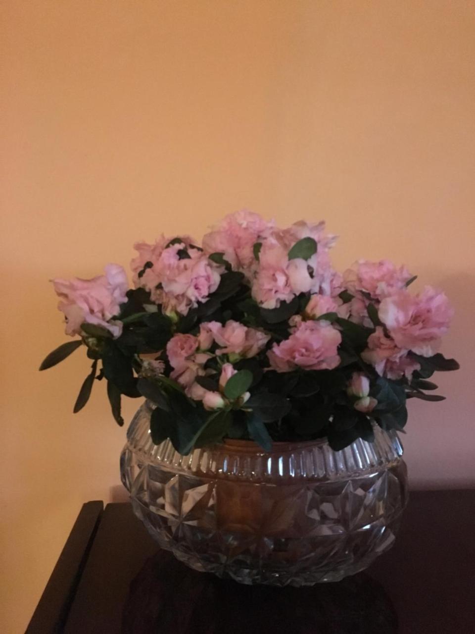 Feel At Home Тбилиси Екстериор снимка